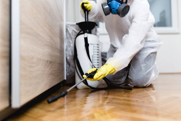 Best Termite Control Services  in Westport, WA
