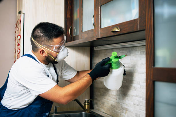 Best Exterminator Services  in Westport, WA