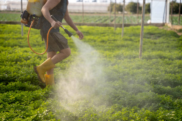 Best Pest Removal Services  in Westport, WA