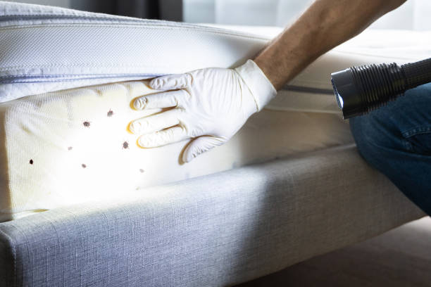 Best Commercial Pest Control Services  in Westport, WA