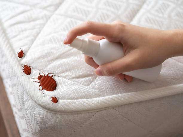 Westport, WA Pest Control Company