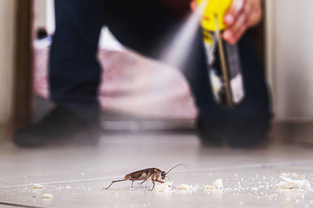 Best Cockroach Control Services  in Westport, WA